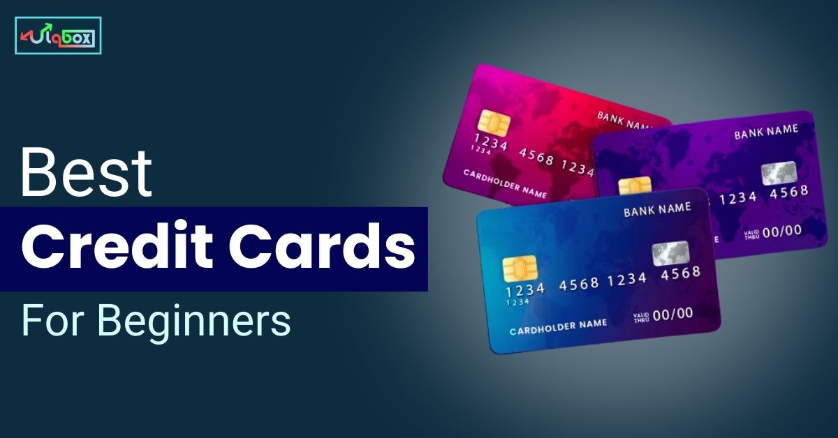 Best Credit Card For Beginners in 2024