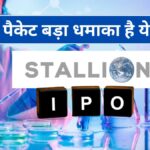 Stallion India IPO GMP Today