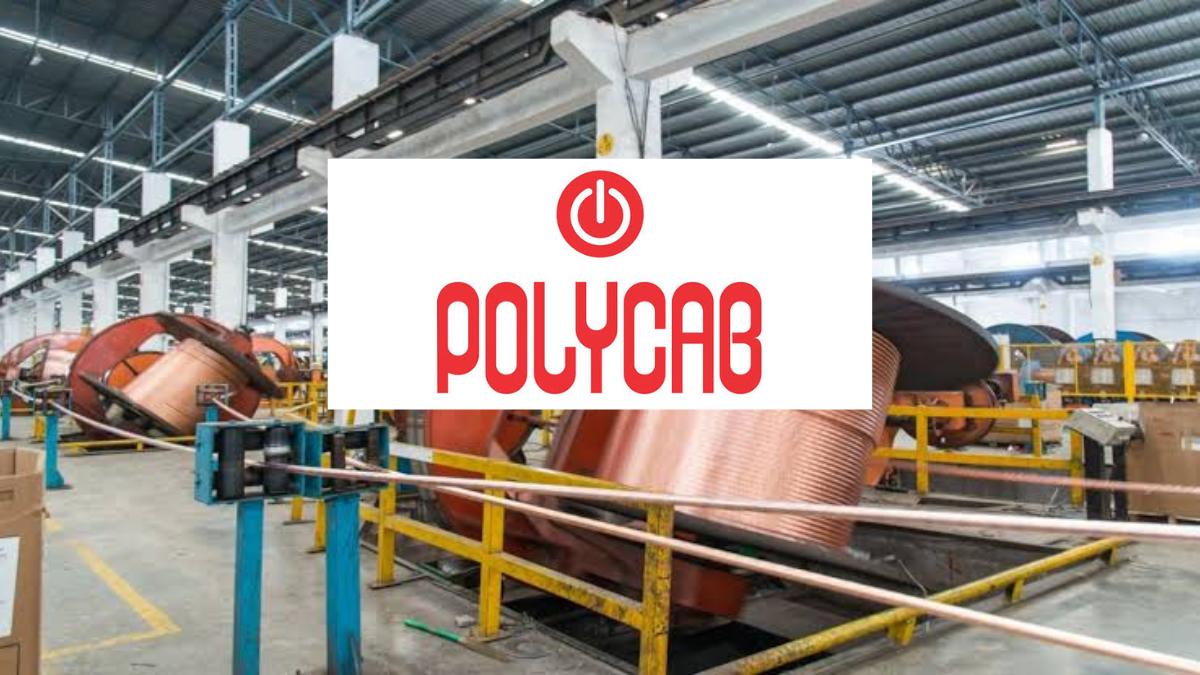 Polycab India Share Price